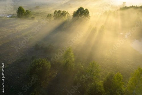 Summer nature background. Aerial landscape of nature in fog at sunrise. Misty morning on riverside in sunlight. Scenery nature in sunshine. Bright sunny meadow on riverside