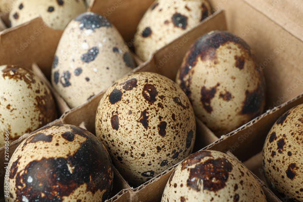 Quail eggs in carton box isolated on white background, closeup Quail eggs in carton box isolated on white background, closeup