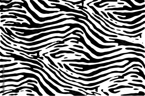 Zebra texture vector