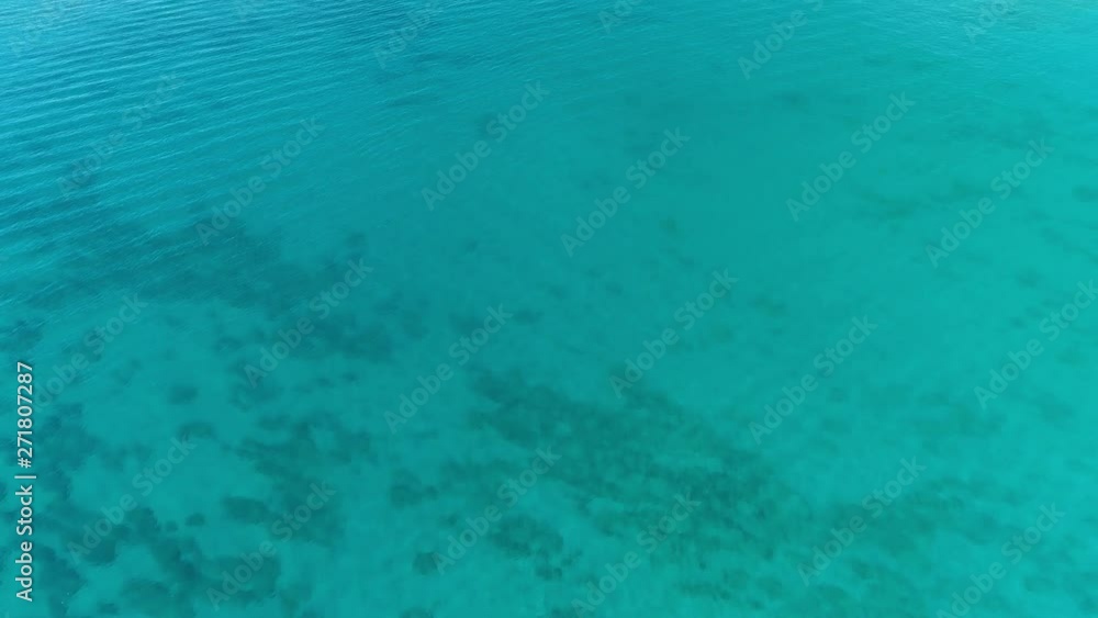 Camera tilting up from clear blue water, revealing Waikiki beach, Hawaii. Camera tilting up from clear blue water, revealing Waikiki beach, Hawaii.