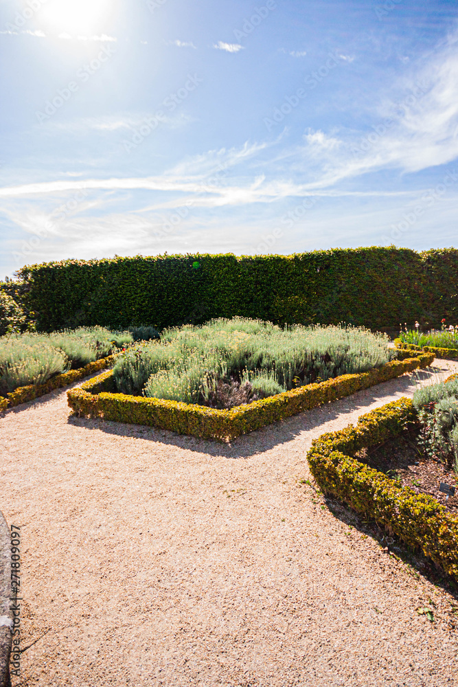 Fototapeta premium Jardin de Palaco de Cristal