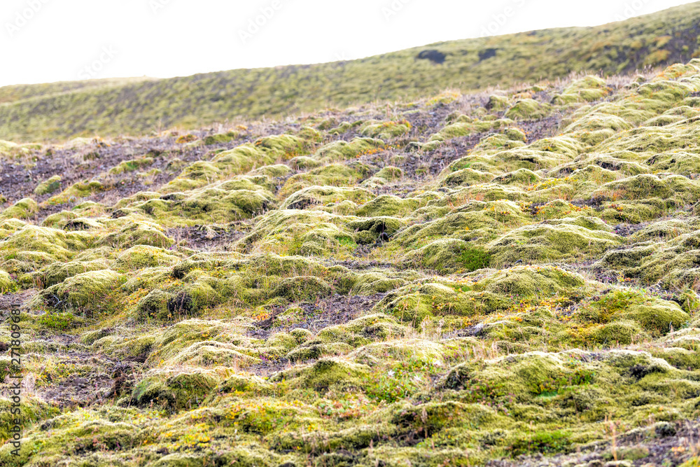 Reykjadalur, Iceland Hveragerdi during day in green golden circle with nobody and rocky moss pattern landscape Reykjadalur, Iceland Hveragerdi during day in green golden circle with nobody and rocky moss pattern landscape