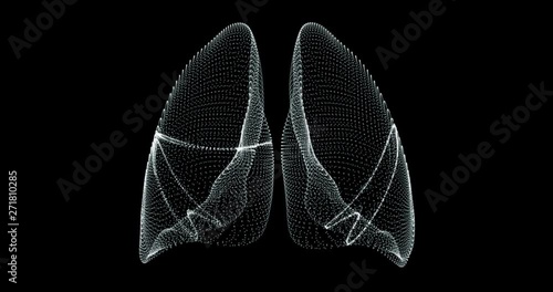 Human lungs breathing in a hologram representation screen 3d - loop photo