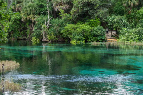 Turquois Springs at Rainbow Springs State Park.