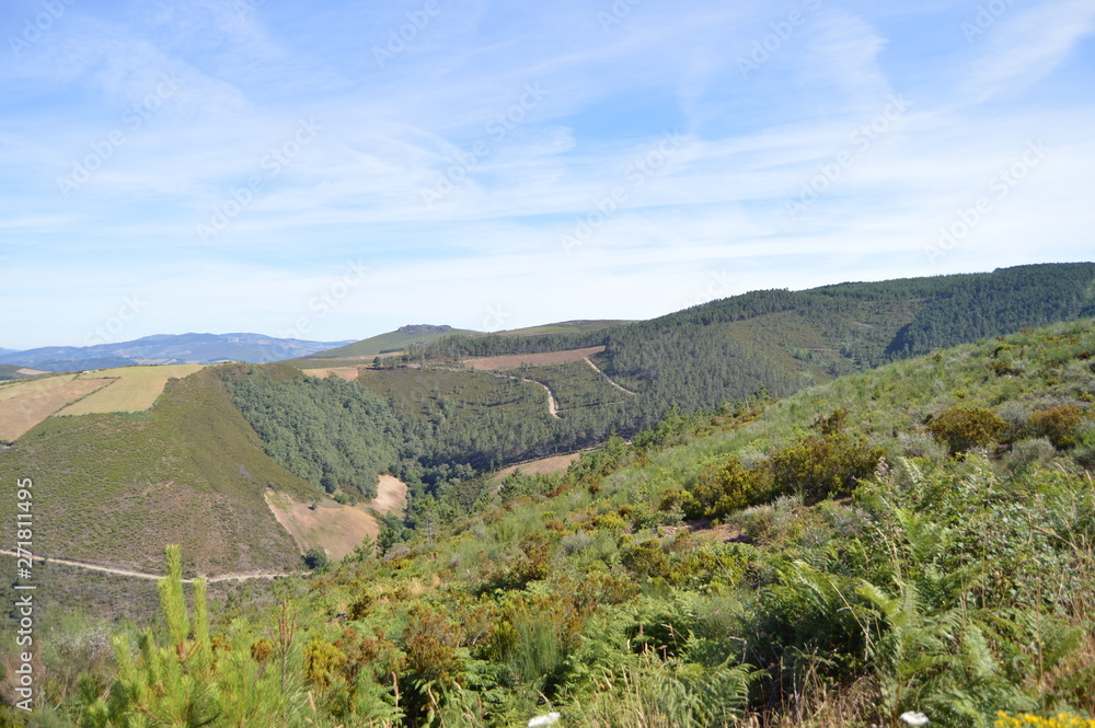Fototapeta premium Majestic Mountains Of Galicia Full Of Valleys Pine Forests Meadows And Forests Of Eucalyptus In Rebedul. August 3, 2013. Rebedul, Lugo, Galicia, Spain. Rural Tourism, Nature.
