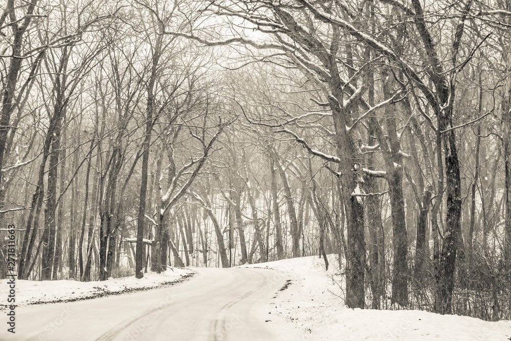 A country road winds through a snow covered leafless woods.