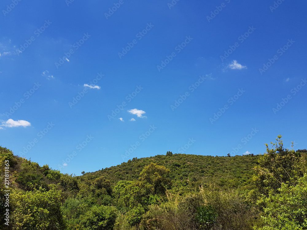 Fototapeta premium Paesaggio campestre
