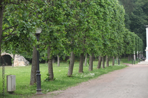 palace alleys