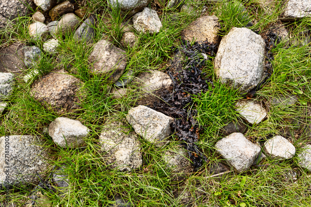 Rocks surrounded by green grass and dried seaweed