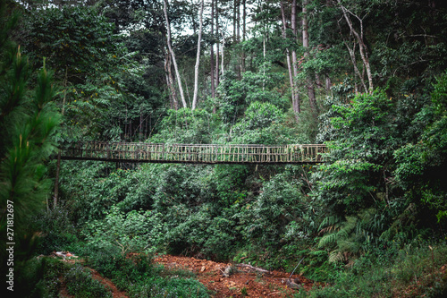 Fototapeta Naklejka Na Ścianę i Meble -  Wooden suspension bridge in the valley of Cu Lan Village, Dalat, Vietnam