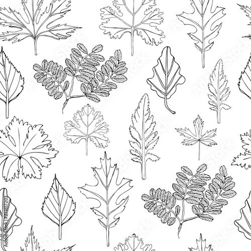 Seamless pattern with monochrome leaves of trees and flowers. Hand drawn ink sketch isolated on white background.