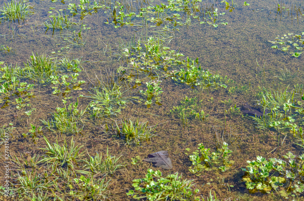 standing water in a field after rain standing water in a field after rain