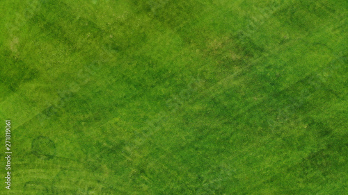 Aerial. Green grass texture background. Top view from drone.