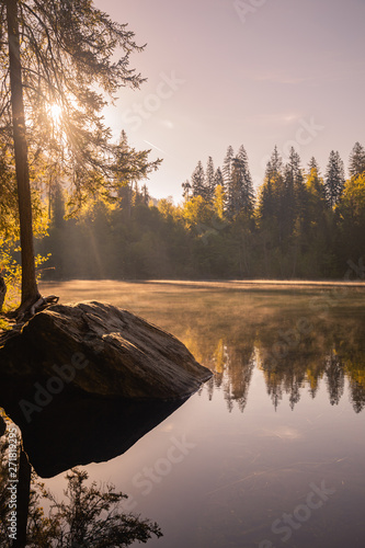 reflection of trees in lake, crestasee