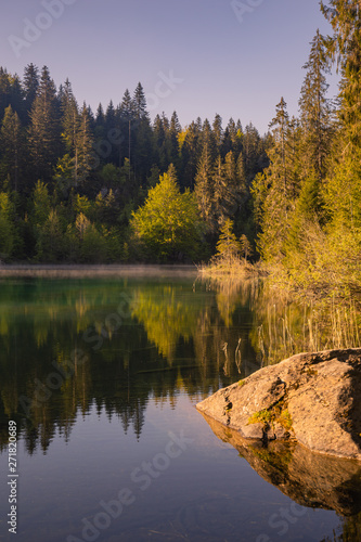reflection of trees in lake, crestasee