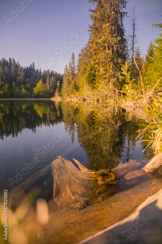 reflection of trees in lake, crestasee