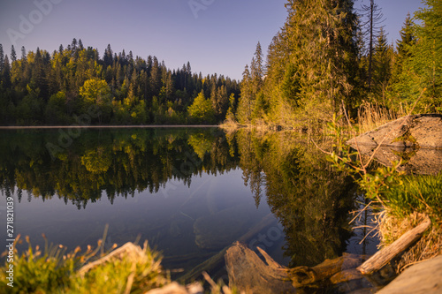 reflection of trees in lake, crestasee