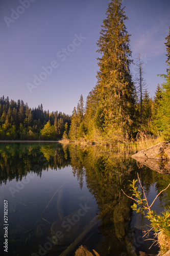 reflection of trees in lake, crestasee
