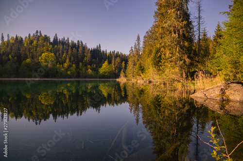 reflection of trees in lake, crestasee