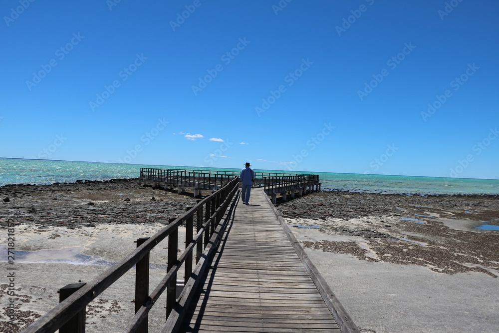 Hamelin Pool Marine Nature Reserve at Shark Bay., Western Australia Hamelin Pool Marine Nature Reserve at Shark Bay., Western Australia
