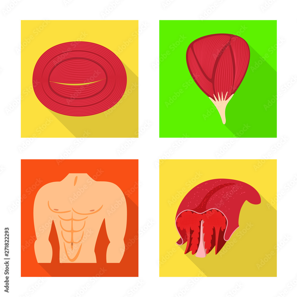 Isolated object of muscle and cells sign. Collection of muscle and anatomy vector icon for stock.