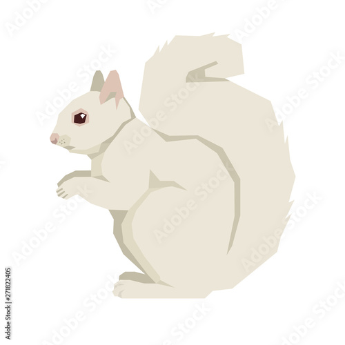 Wild animals Vector illustration of a white squirrel Isolated object Geometric style
