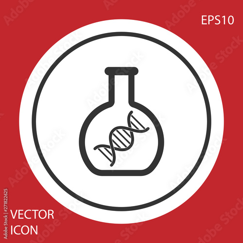 Grey DNA research, search icon isolated on red background. Genetic engineering, genetics testing, cloning, paternity testing. White circle button. Vector Illustration