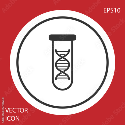 Grey DNA research, search icon isolated on red background. Genetic engineering, genetics testing, cloning, paternity testing. White circle button. Vector Illustration