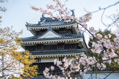 Japan castle sakura