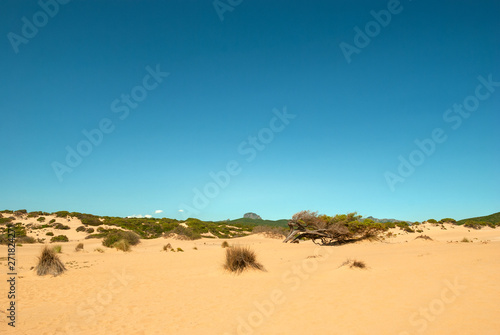 Sardegna, dune di sabbia a Piscinas, Italia © Alessio Orrù