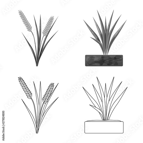 Vector illustration of crop and ecological sign. Set of crop and cooking vector icon for stock.