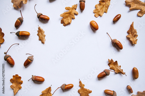 Autumn leaves and acorns on a white background. Abstract autumn background. In the middle there is a place for text.
