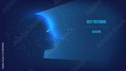 Silhouette of polygonal head. Polygonal illustration of triangles and points. Background of beautiful dark blue night sky. Concept of thinking human, visualization of process of thinking. Low poly.