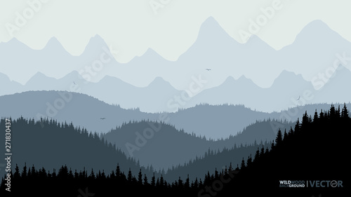 Tranquil backdrop  pine forests  mountains in the background. The blue tone  flying birds.