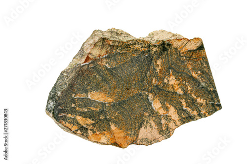 Macro stone skarn mineral on white background