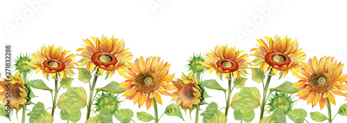 Sunflower flowers seamless banner on white background. Summer bunner floral photo