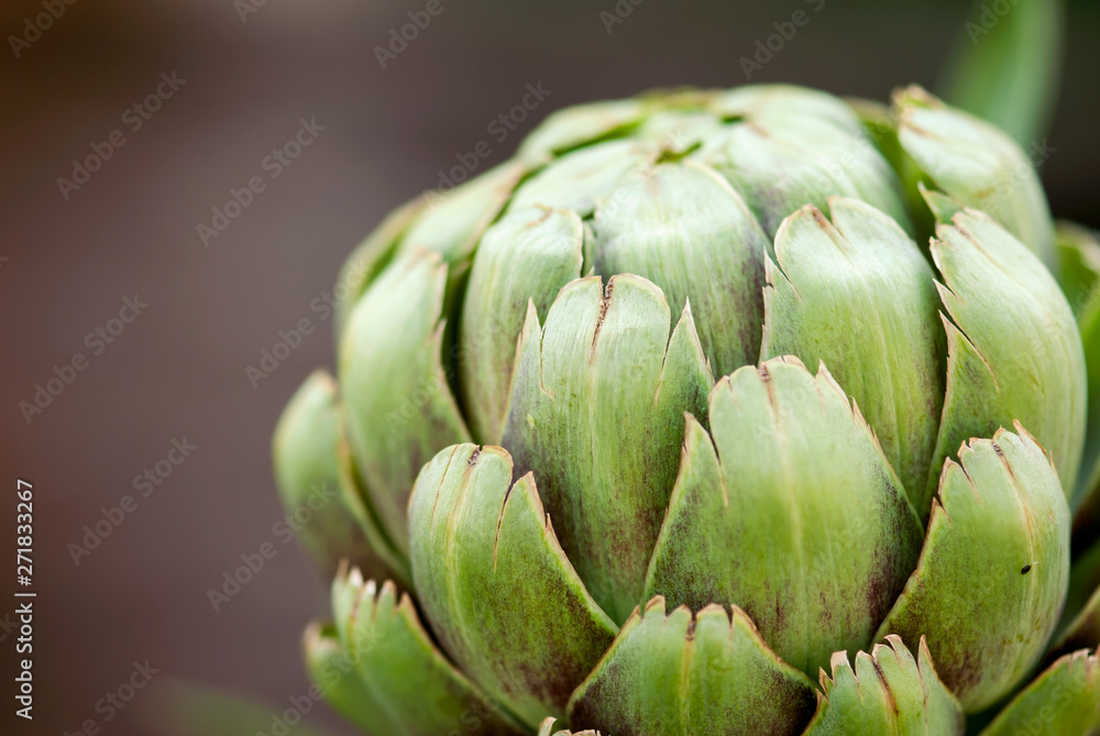 Artichoke Closeup