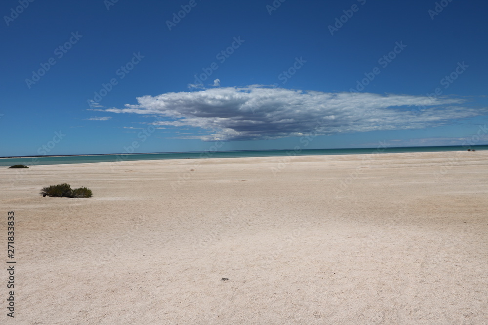 Shell Beach in the Shark Bay region, Western Australia Shell Beach in the Shark Bay region, Western Australia