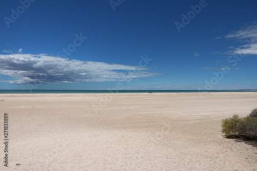 Shell Beach in the Shark Bay region  Western Australia