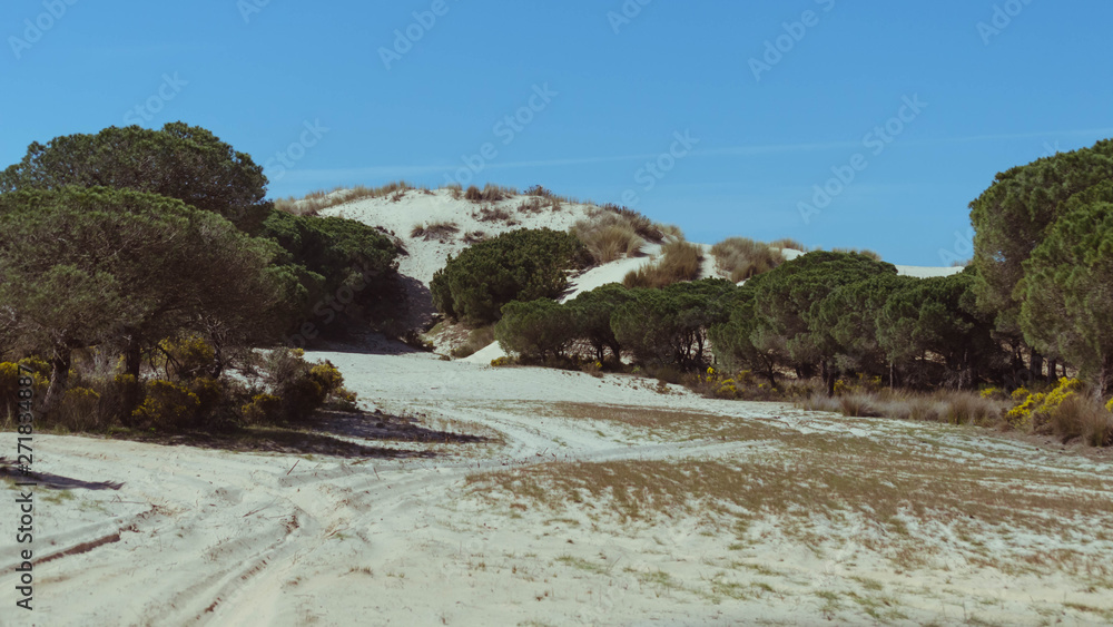 Dunes in the Doñana National Park, Andalusia, Spain.