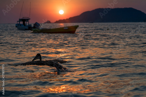 Fototapeta Naklejka Na Ścianę i Meble -  Seagull feeds on the beach with boats in the background and a beautiful sunset