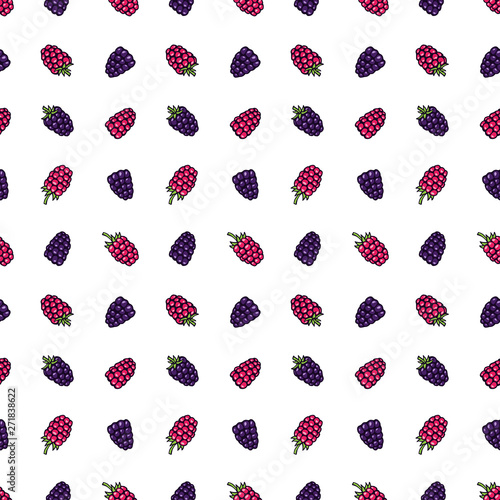 Blackberry (bramble, dewberry) and raspberry hand drawn pattern vector illustration. Bramble berries and raspberry hand drawn sketch seamless pattern.