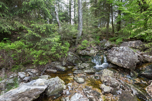 Hiking Hautes Fagnes  Hohes Venn  in Belgium