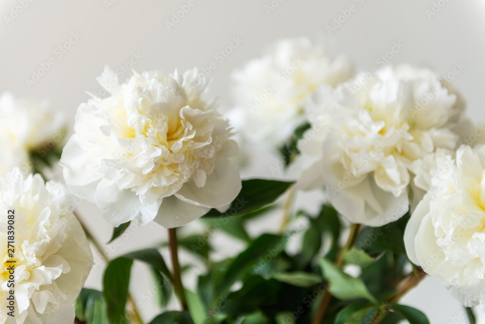 Bunch of amazing peonies in the vase on white wall background Bunch of amazing peonies in the vase on white wall background