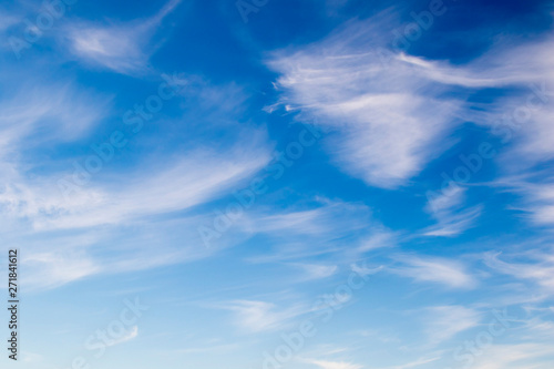 Fototapeta Naklejka Na Ścianę i Meble -  Cirrus cloud on blue sky background.