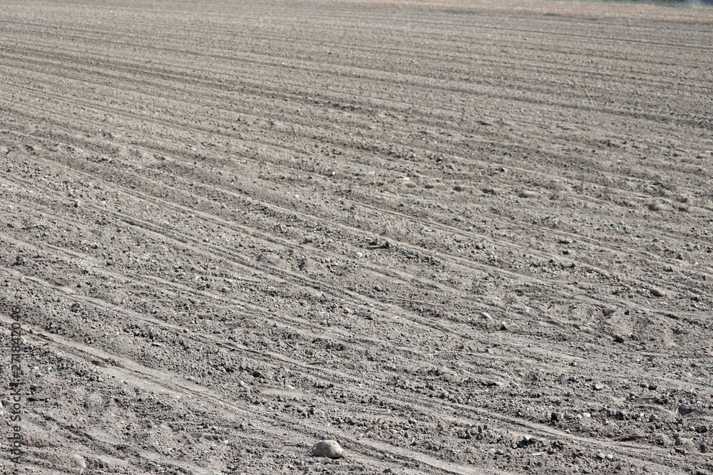 Naklejka premium tracks in sand