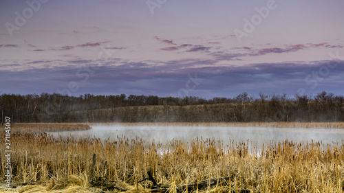 Early morning mist over the duck pond surrounded by cottontails and tall grasses photo