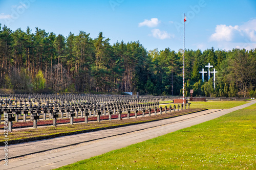 Palmiry, Poland - Panoramic view of the Palmiry war cemetery - historic memorial for the World War II victims of Warsaw and Mazovia - within the Kampinoski National Park photo