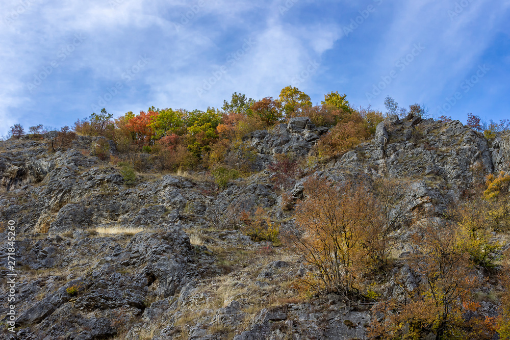 Amazing vivid colors of autumn forest on the rocky mountain with blue sky above