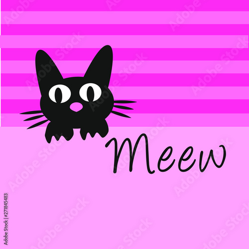 MEEW T